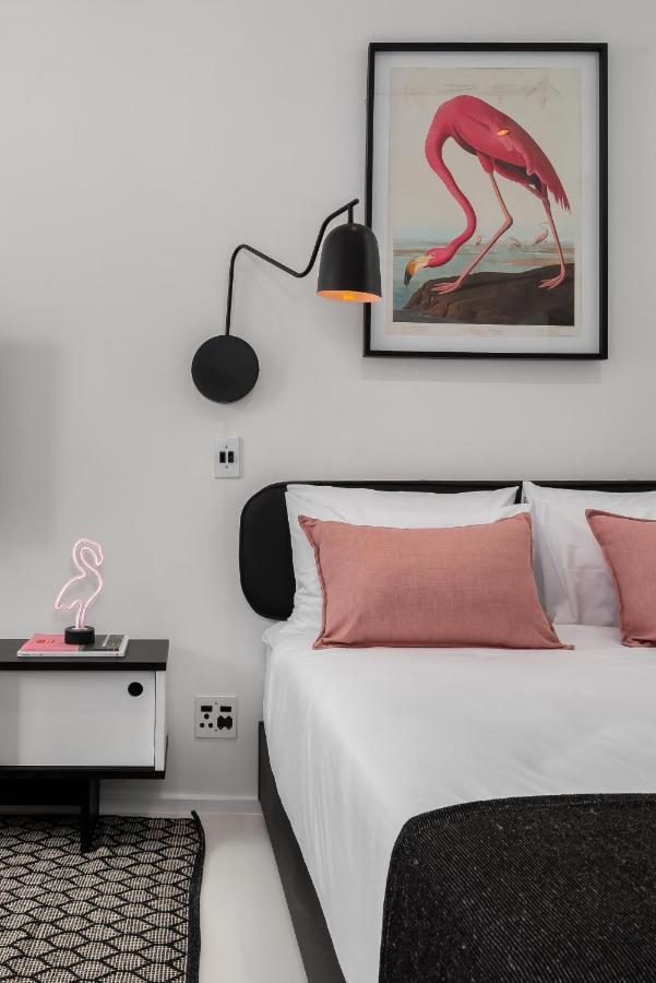 The Flamingo Apartamento Cidade Do Cabo